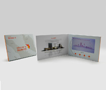 Video Catalogue